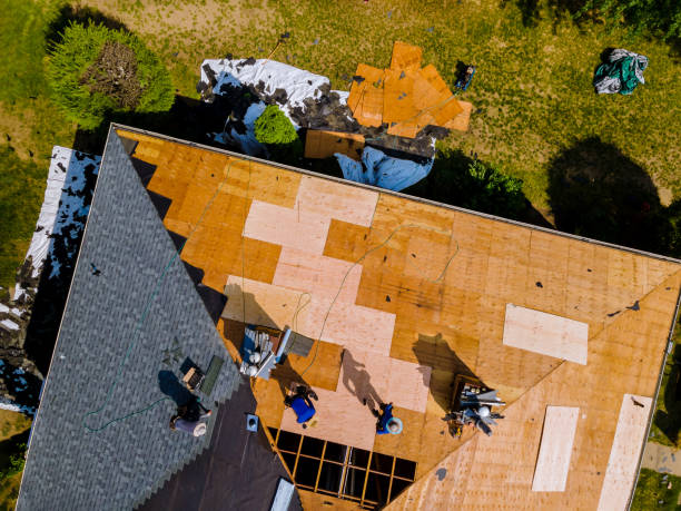 Best Roof Gutter Cleaning  in Rkville, PA