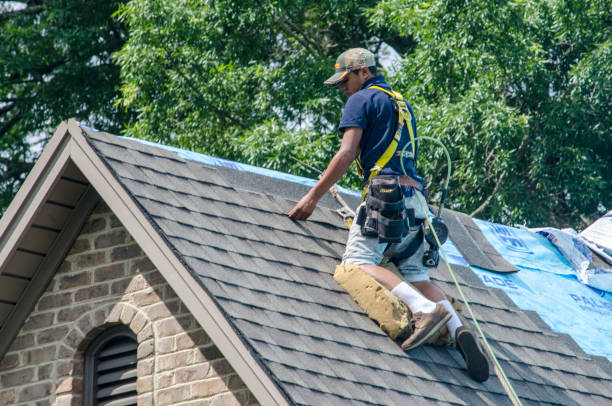 Best Roof Maintenance Services  in Rkville, PA